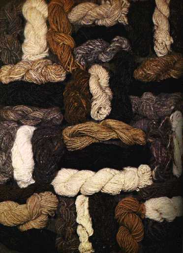 naturally colored wool
